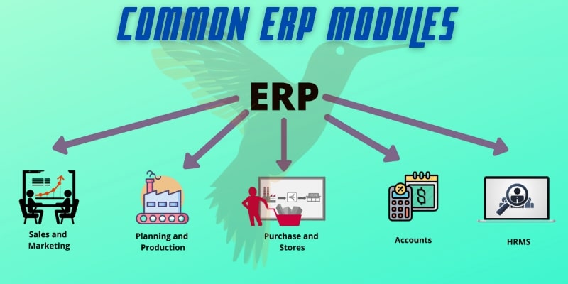 Common Modules of ERP System