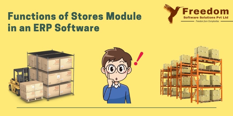 ERP Stores Module